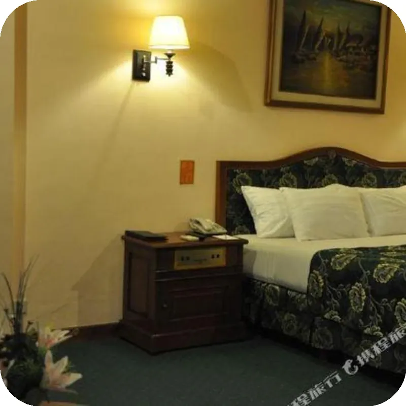 Puri Khatulistiwa Hotel room image