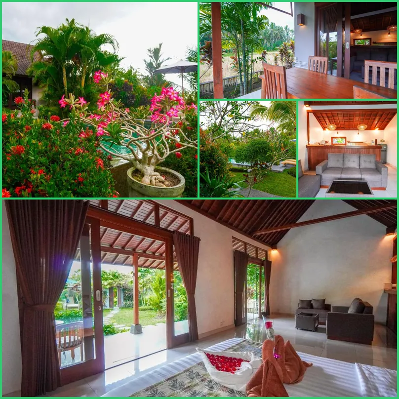Green Coconut Cottage Hotel other image