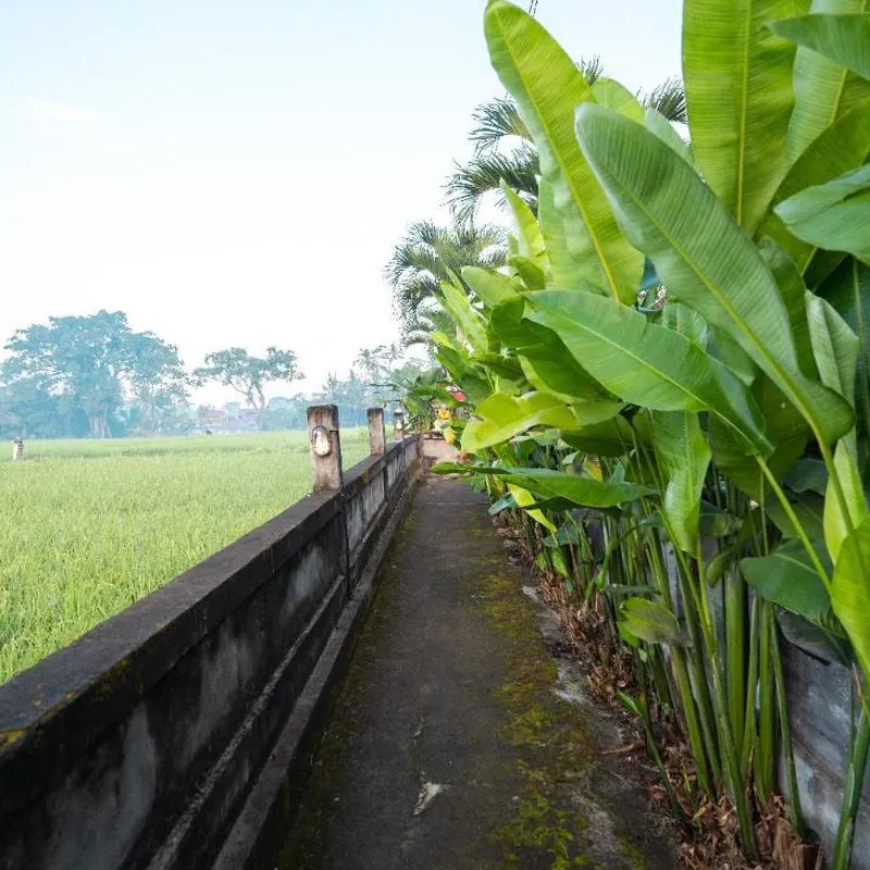 Two Bedroom Private Pool Villa with Ricefield View Hotel facility image