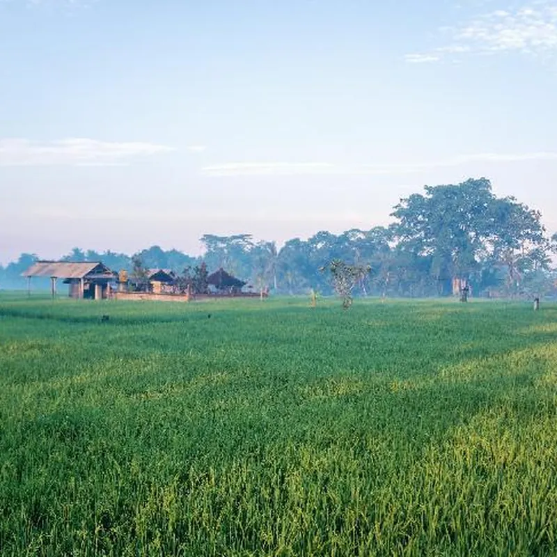 Two Bedroom Private Pool Villa with Ricefield View Hotel image