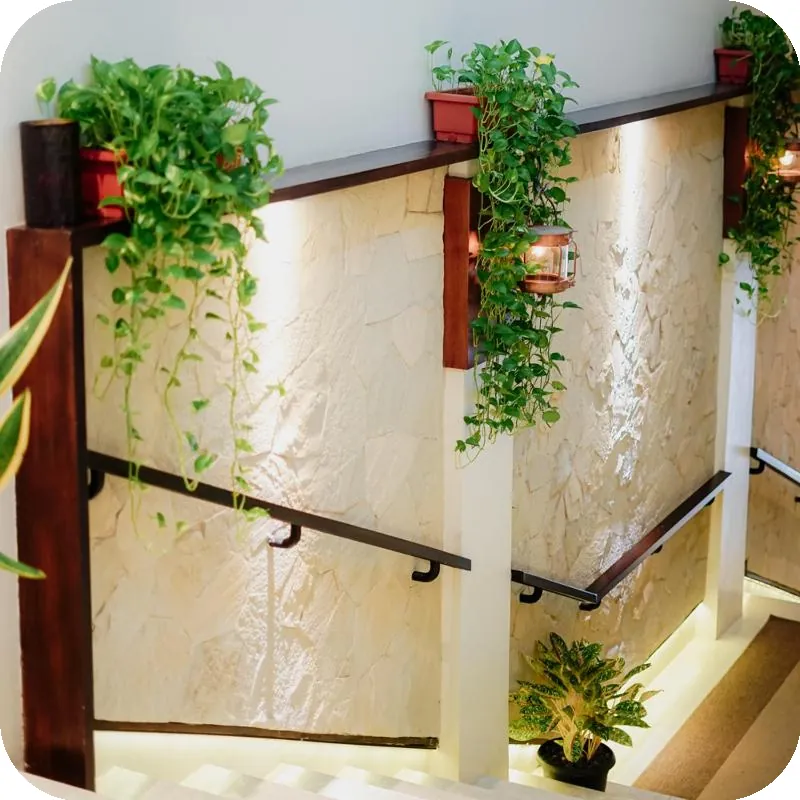Treehouse Suites  - Boutique Serviced Apartment Hotel facility image