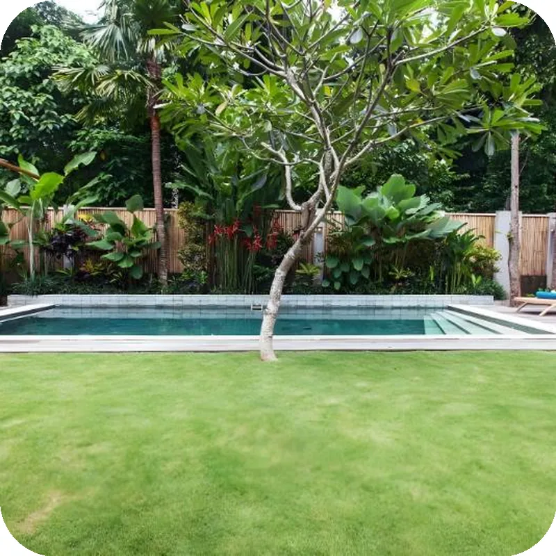 Three Bedroom Balinesse Style villa in Seminyak Hotel facility image