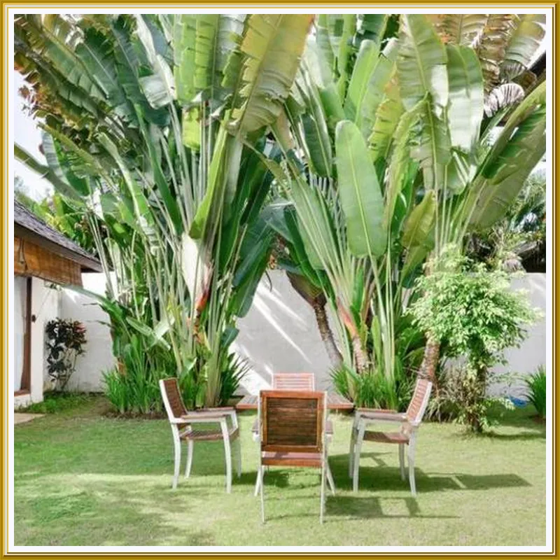 Villa Nelayan by Nakula Hotel image