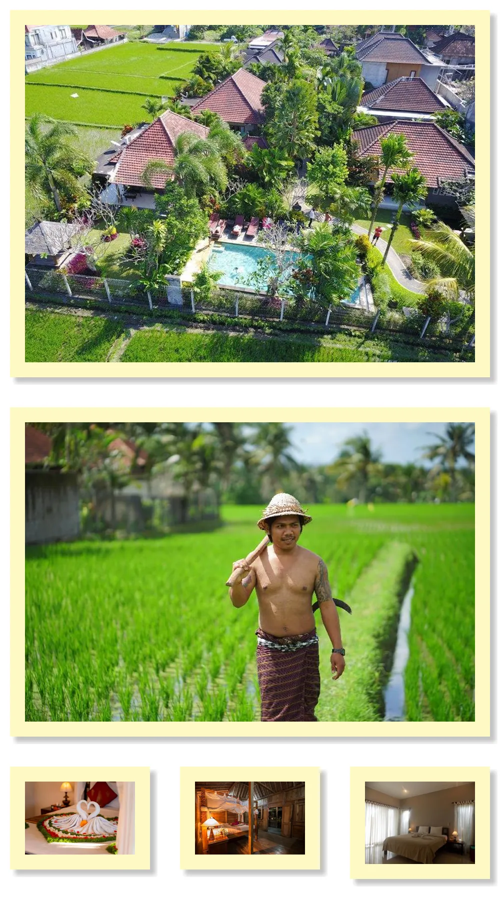 Villa Mandi Resort & Spa Hotel other image