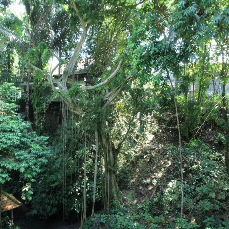 Belvilla Padma Legian Resort Near Monkey ForestNearUbud Palace Hotel image
