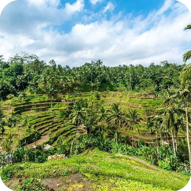 Sky Blue Villa Ubud Hotel image