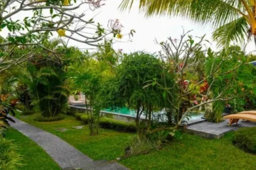 Green Coconut Cottage