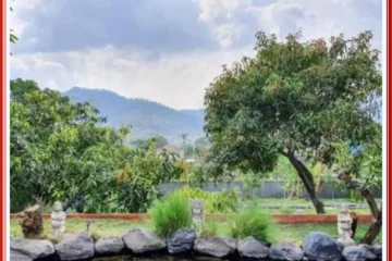 Hotel O Sukun Syariah Homestay