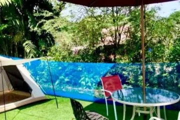 The Green Peak, ARTOTEL Curated